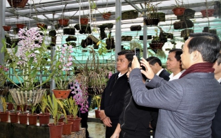 Bộ Nông nghiệp và Phát triển Nông thôn khảo sát mô hình trồng cây dược liệu và hoa lan tại Lai Châu